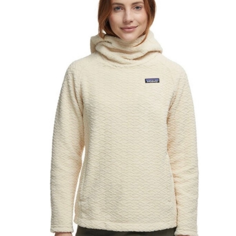 Patagonia Diamond Capra Hoodie - Women's